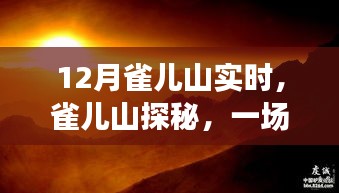 雀儿山冬日探秘，与自然共舞之旅