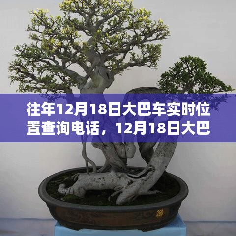 技术革新与出行变革，追溯大巴车定位查询热线的发展历程