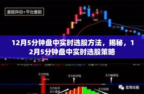 揭秘，12月5分钟盘中实时选股策略与方法