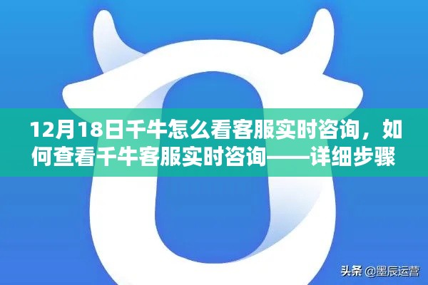 千牛客服实时咨询查看指南，初学者与进阶用户的详细步骤