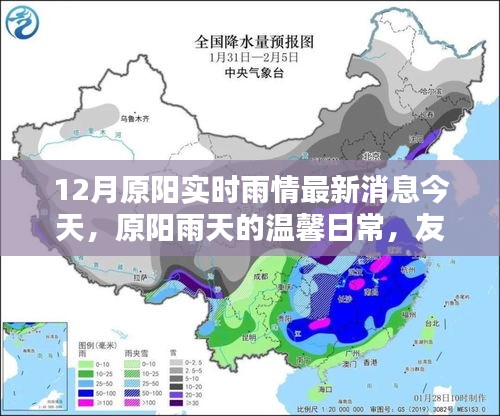 原阳雨情实时更新，温馨日常与情感的传递