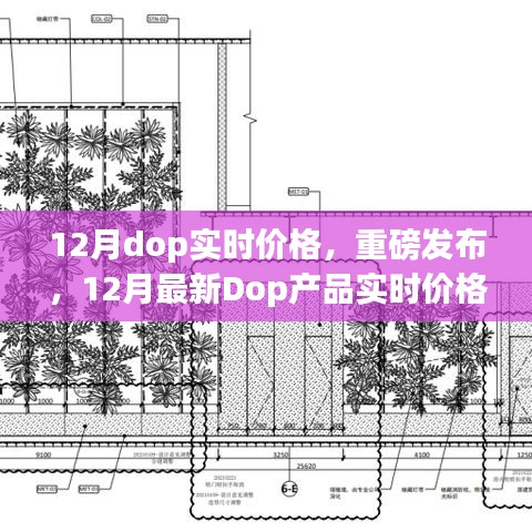 重磅发布，领略科技魅力，体验未来生活——揭秘十二月最新Dop产品实时价格指南