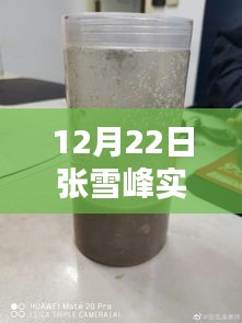 张雪峰老师12月22日实时动态报名指南，适合初学者与进阶用户的报名步骤全解析