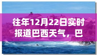 巴西暖阳下的温馨时光，12月22日天气纪实