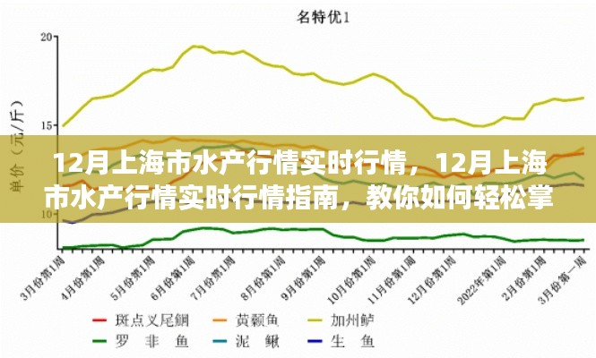 掌握上海水产市场脉搏，12月实时行情指南