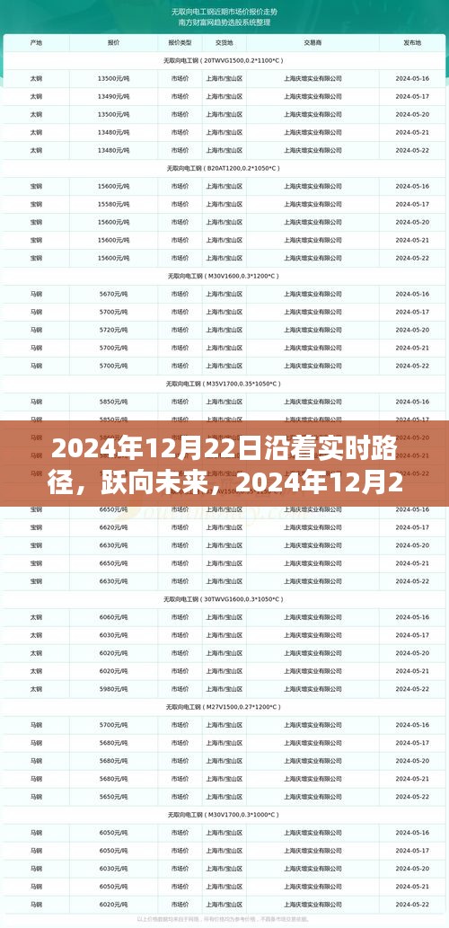 跃向未来，实时路径下的共舞之旅——2024年12月22日展望