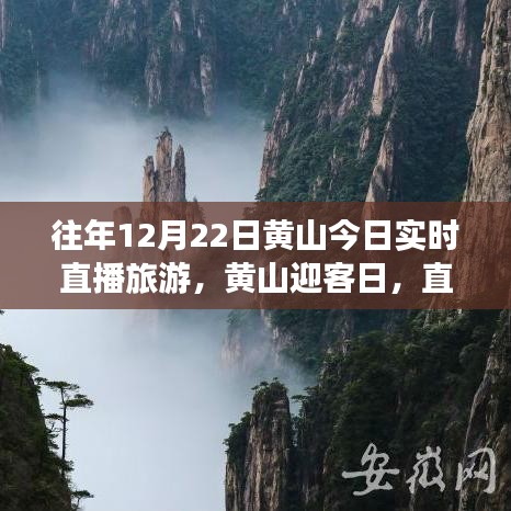 黄山迎客日，直播旅游中的温情故事与实时风景赏析