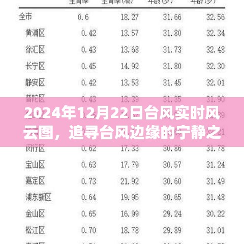 追寻台风边缘的宁静之旅，2024年台风风云图揭示的奇妙启示