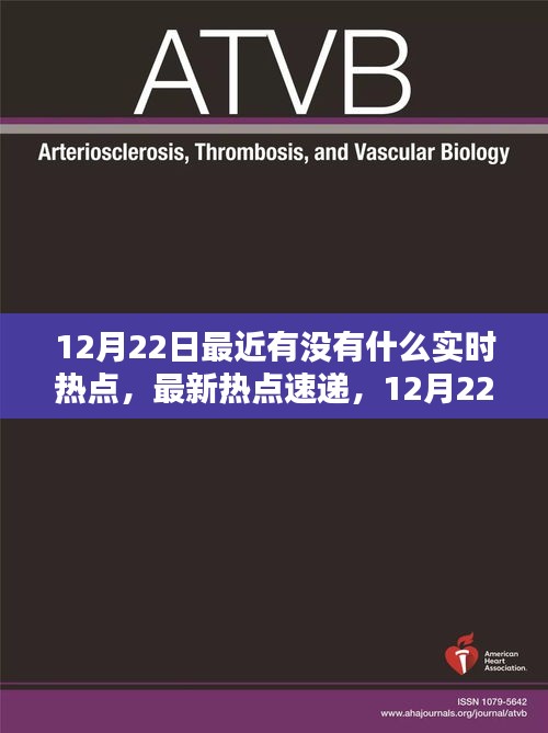 12月22日实时热点速递，火热话题一览