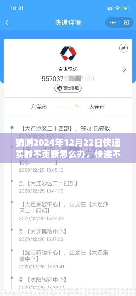 快递实时更新故障应对指南，快递不更新？日常冒险之旅中的温馨解决方案