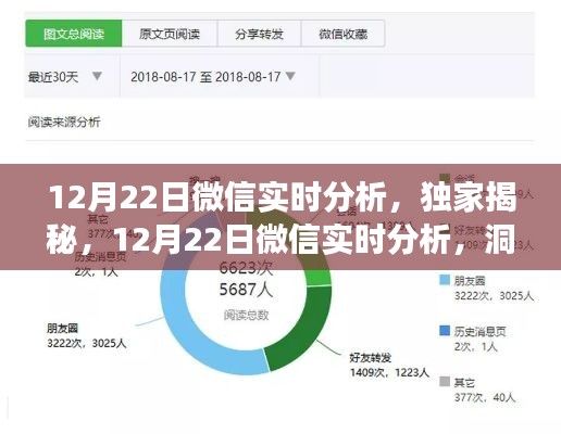 独家揭秘，微信实时分析洞察社交趋势，12月22日数据深度解读