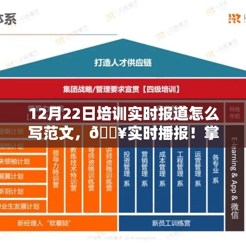 12月22日培训精彩瞬间全记录，实时报道与动态掌握