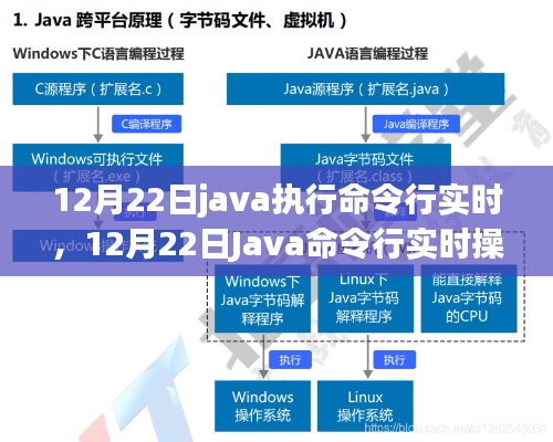 Java命令行实时操作指南，12月22日执行指南