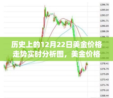 美金价格走势的历史视角，成长与自信的力量实时分析图回顾与展望（实时更新）