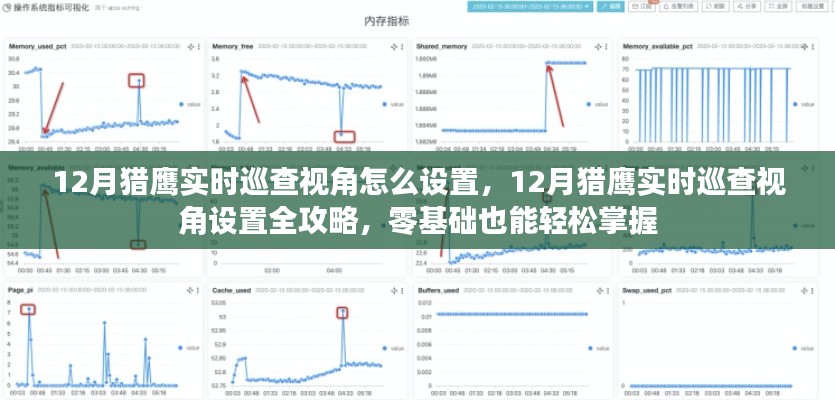 12月猎鹰实时巡查视角设置攻略，零基础也能轻松掌握