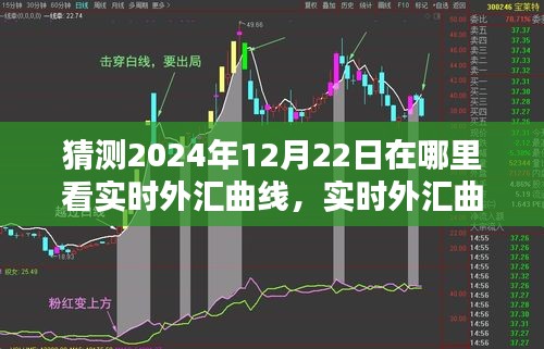 2024年12月22日实时外汇曲线预测与最佳观看平台深度评测