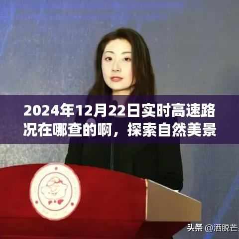 探索自然美景之旅，实时高速路况查询指南与寻找内心平静的旅程