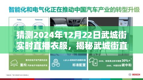 揭秘武城街直播新风尚，实时直播选购衣服指南（初学者进阶版）预测与探讨2024年12月22日武城街时尚潮流直播内容