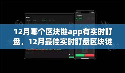 12月最佳实时盯盘区块链App评析，哪款应用能助你洞悉市场动态？