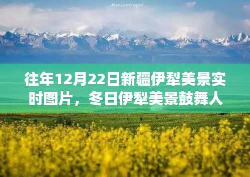 冬日伊犁美景鼓舞人心，学习之旅中的自信与成就感实时图片展示