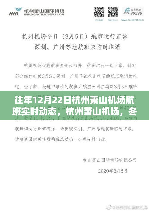 杭州萧山机场冬至航班实时动态，舞动长空的翅膀