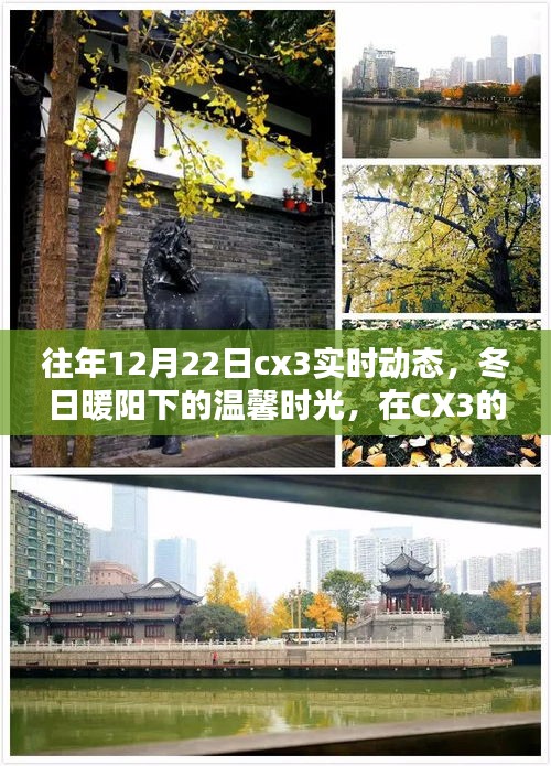 冬日暖阳下的CX3实时动态，找寻家的温馨与爱的力量