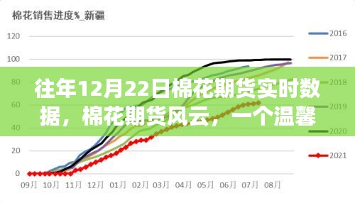 往年12月22日棉花期货风云，实时数据与温馨交易日常故事