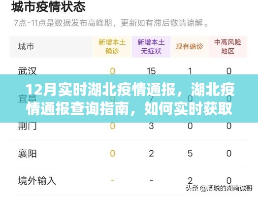 湖北疫情实时通报指南，初学者与进阶用户查询指南及获取最新通报信息的方法