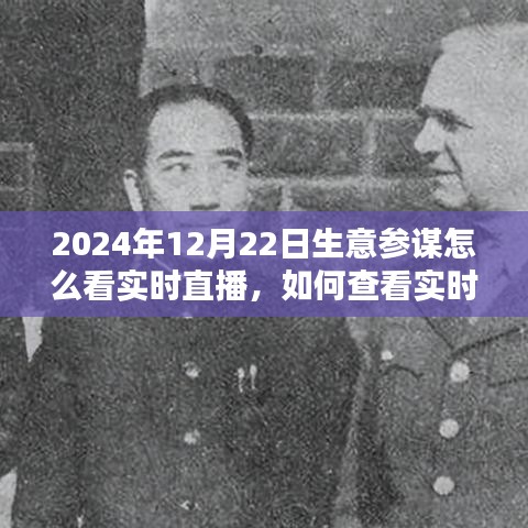 2024年生意参谋全方位指南，实时直播数据查看与解读