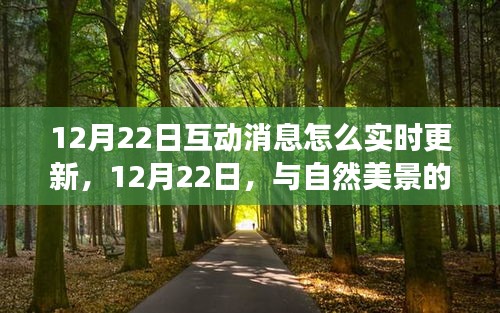 与自然美景的实时互动之旅，如何实时更新互动消息，追寻内心的宁静与平和在12月22日