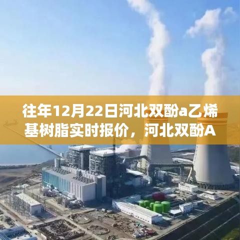 河北双酚A乙烯基树脂实时报价分析与观点探讨