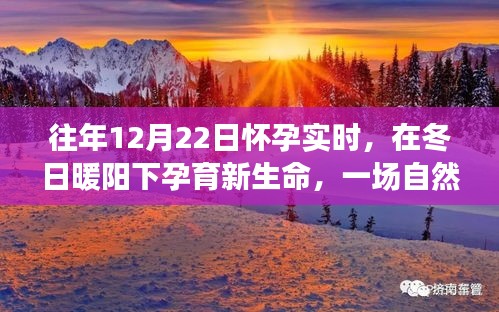 冬日暖阳下的孕育之旅，自然美景探索与孕育新生命纪实