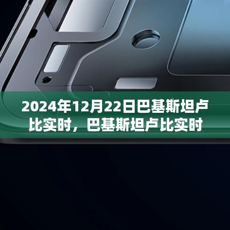 巴基斯坦卢比实时查询指南，初学者与进阶用户适用的指南（以2024年12月22日为例）