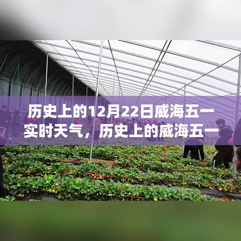 揭秘威海气象变迁，历史上的十二月二十二日实时天气回顾与展望五一威海天气变迁史