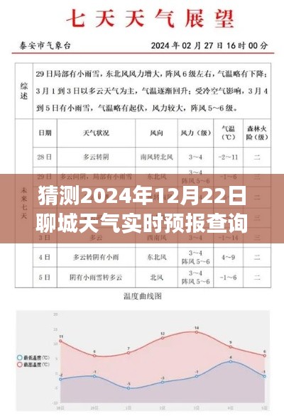 聊城明日天气预报，温情时光下的天气实时预测查询表（2024年12月22日）