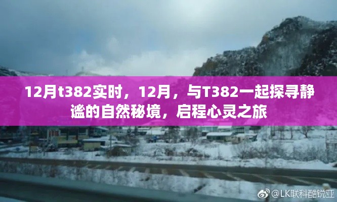 12月与T382共赴静谧秘境的心灵之旅