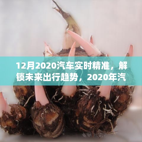 深度洞察与精准预测，2020年汽车市场趋势及未来出行展望