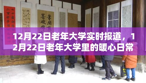 老年大学暖心日常，友情、学习与相伴的美好时光——12月22日报道