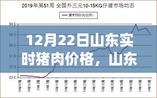 山东猪肉价格动态，聚焦12月22日市场走势分析