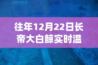 长帝大白鲸智能温度计，实时温度触手可及，科技带来生活温暖