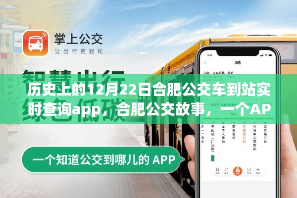 合肥公交APP的暖心之旅，实时查询与公交故事的奇妙融合