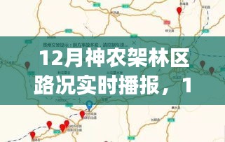 12月神农架林区路况实时播报，多方观点下的道路状况深度解析与个人体验分享