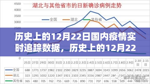 历史上的12月22日国内疫情实时追踪数据详解，步骤指南与实时追踪报告