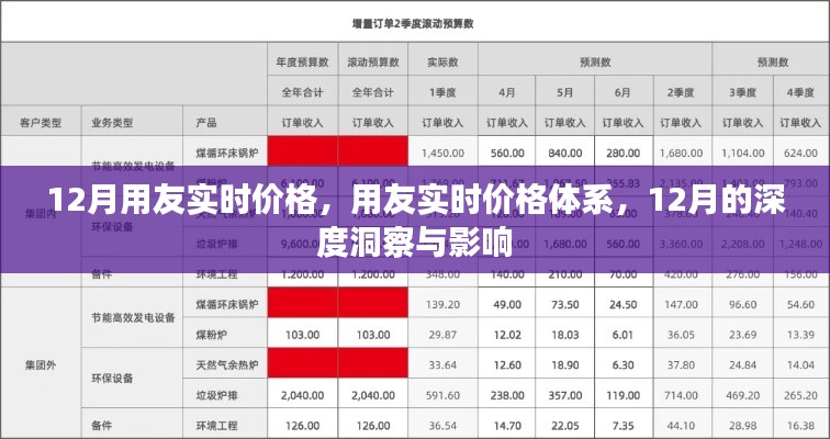 用友实时价格体系深度洞察，12月价格变动与影响分析