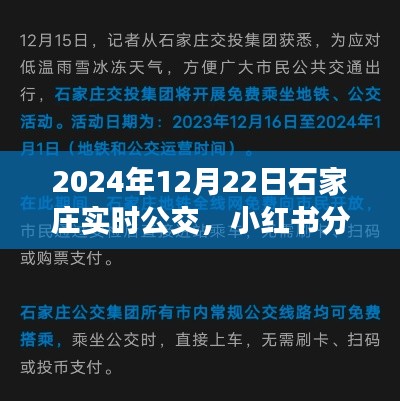 揭秘石家庄2024年实时公交系统，便捷出行，小红书实时分享