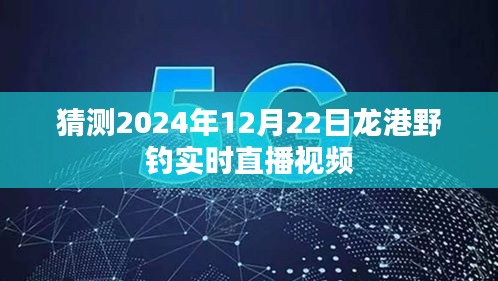 龙港野钓直播预告，探寻垂钓乐趣，2024年12月22日实时直播视频揭晓！