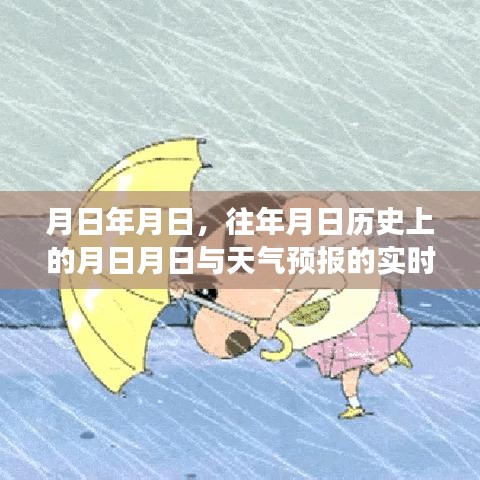 历史与天气预报的实时观察对比，月日对比解析