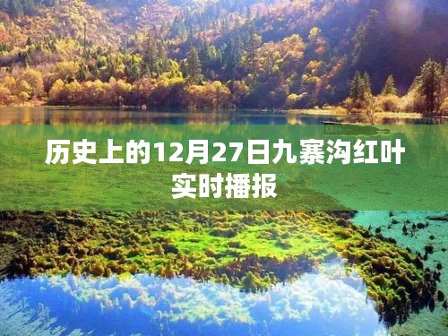 九寨沟红叶实时播报，历史12月27日回顾