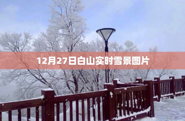 白山实时雪景图片报道