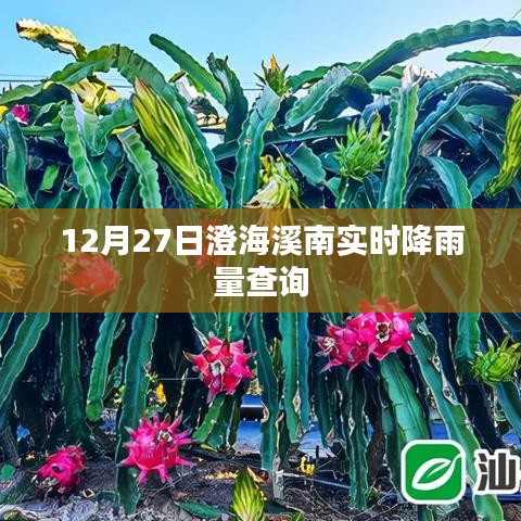 澄海溪南实时降雨量查询（最新更新）